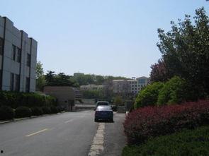 连云港墟沟最新爆料,揭秘墟沟发展新篇章